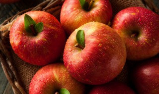 吃苹果对身体的好处有什么（吃苹果对身体的好处有什么坏处）
