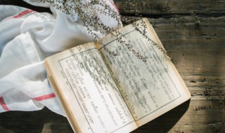 新序原文及翻译（新序原文及翻译宋昭公出亡）