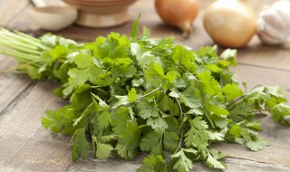 吃香菜根的好处和坏处 吃香菜根对身体有好处吗