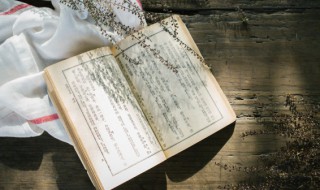 昆虫记松毛虫内容概括 昆虫记松毛虫内容概括30字