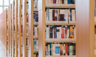 有关春节的诗词名句（有关春节的诗词名句有哪些）