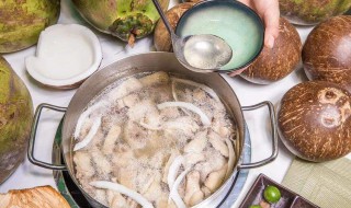 椰子鸡的家常做法（椰子鸡的家常做法大全）