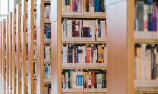 水浒传李逵的故事情节概括 水浒传李逵的故事情节概括50字