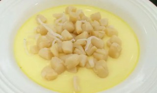 干贝蒸蛋的家常做法(干贝蒸蛋怎么做)