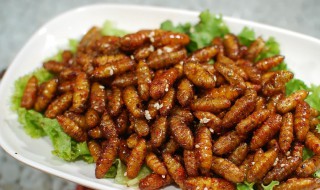 炸蚕蛹的家常做法（炸蚕蛹的家常做法酥脆的）