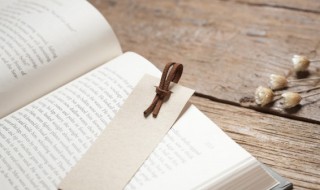 除夕优秀作文500字（除夕优秀作文500字左右）