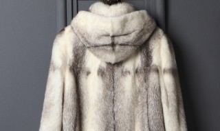 貂皮大衣是什么动物 貂皮大衣是什么动物的毛