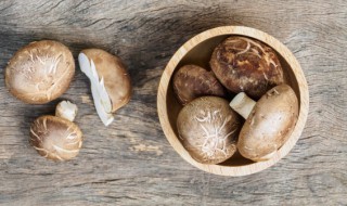 春季养生必吃哪些养生菜 春季养生必吃哪些养生菜呢