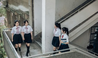 什么是校园文化（什么是校园文化的缩影）