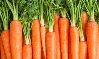 胡萝卜能包饺子吗 胡萝卜可以用来包饺子吗