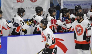 冰球允许打架吗 冰球允许打架吗现在