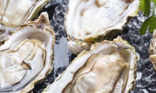 南瓜和生蚝能一起吃吗（南瓜和生蚝能一起吃吗早餐）