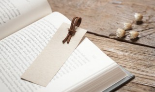 虾用英语怎么说呢 虾用英语怎么说呢?