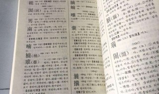 仍然怎么读 普通话仍然怎么读