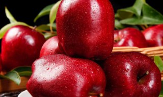 拉肚子可以吃蛇果吗(拉肚子可以吃蛇果吗?)