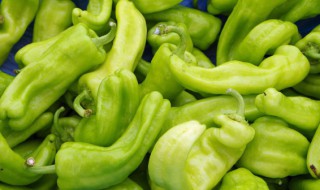 丝瓜和青椒能一起炒吗 丝瓜和青椒能一起炒吗?