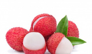 荔枝酒泡多久可以喝（荔枝酒泡多久要取出荔枝）