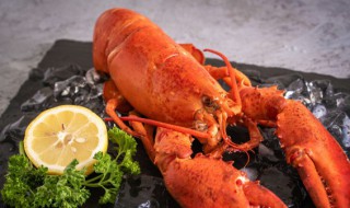 龙虾一次吃多少合适（龙虾一次吃多了有什么坏处）