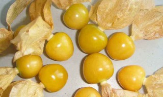 菇茑宝宝能吃吗 宝宝吃菇茑有什么好处