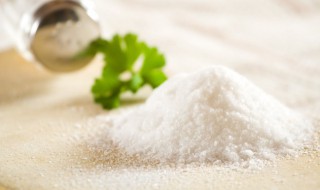 盐怎么读 鞅怎么读