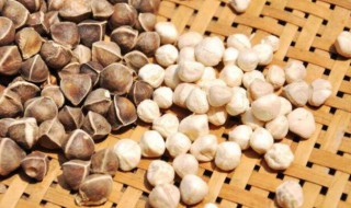 辣木籽什么时候吃最好 辣木籽什么时候吃最好呢