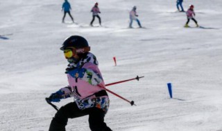 冬奥会可以在哪里看(冬奥会可以在哪里看直播)