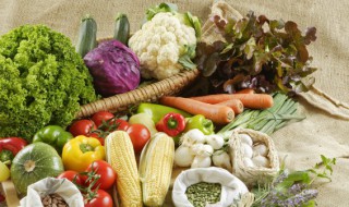 食物对身体有哪些好处（食物对身体有哪些好处呢）