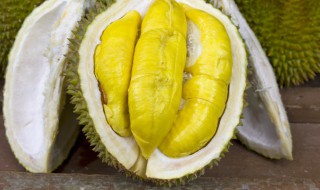 榴莲软的好还是硬的好（榴莲是不是软的好吃）