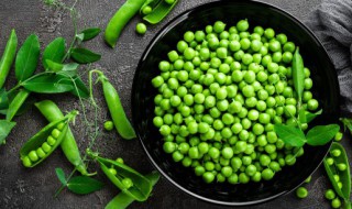 豌豆怎么读（豌豆怎么读拼音）