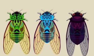 油知了怎么做好吃（油知了是什么东西）