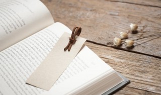 简爱第29章概括 简爱第29章概括100字