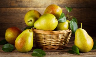 梨脯的功效与作用（潮汕梨脯的功效与作用）