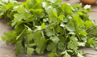 男人吃香菜有什么坏处 香菜壮阳还是泄阳