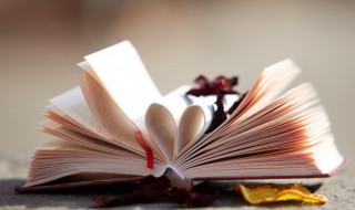 隅田川怎么读（肖战代言咖啡隅田川怎么读）