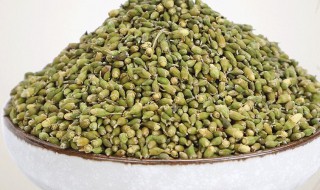 槐米有什么禁忌（槐米有什么禁忌与副作用）