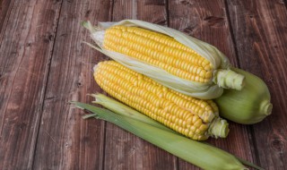 8月份有哪些应季的蔬菜（8月份有哪些应季的蔬菜和水果）