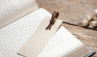 数学小故事四年级（数学小故事四年级100字）