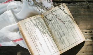 鲁智深拳打镇关西概括 鲁智深拳打镇关西概括20字