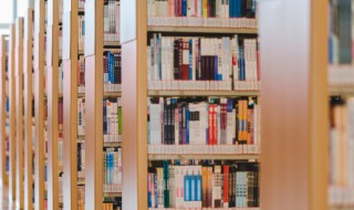 吴用双掌连环计概括（吴用双掌连环计概括200）