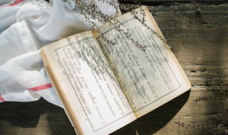 一句话概括红楼梦 一句话概括红楼梦的主要内容