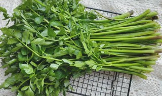 吃水芹菜有风险吗（吃水芹菜会中毒吗）