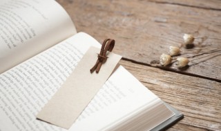 小花猫钓鱼的故事（小花猫钓鱼的故事读后感）