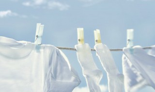 生活中有哪些百分数的例子 生活中的百分数事例