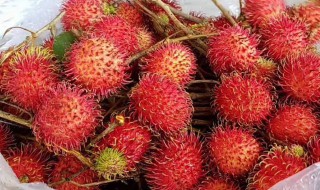 水果红毛丹的功效与作用（水果红毛丹的功效与作用图片）