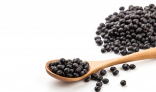 黑豆补充什么营养 黑豆补充什么营养成分