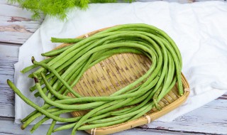 四季豆的功效与作用禁忌 四季豆的功效与作用禁忌四