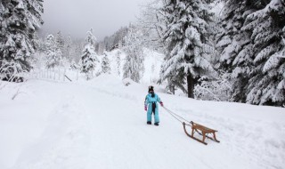 单板滑雪板有哪些类型 单板滑雪板有哪些类型图片