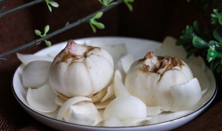 百合与什么搭配最好（百合的黄金搭档）