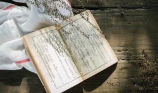 枫桥夜泊背后的故事（枫桥夜泊讲的是什么故事）