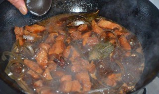 炖猪肉怎么炖 炖猪肉怎么炖又嫩又软